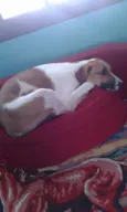 Fiona