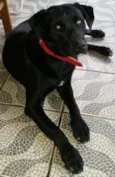 Não sabemos