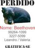 beethoven GRATIFICA