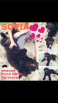 Sofia