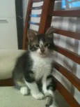Ainda nao tem