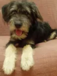 Kaiú