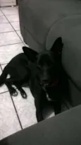 Preta