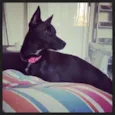 Preta