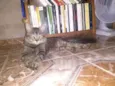 Nick