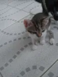 BERNARDO