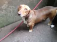 Jake