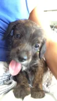 Toby 