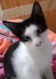 Lindinha