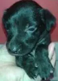 Nao tem