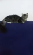 Nina