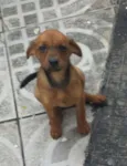sem nome