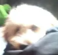 juninho