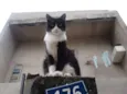 LUCKY GRATIFICA