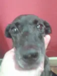 Encontrada no Centr