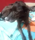 Encontrada no Centr