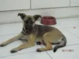 Lua