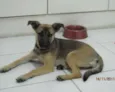 Lua