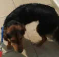 Neném