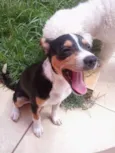 espuleta