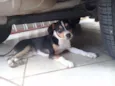 espuleta