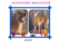 AMARELO