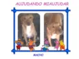 LOIRINHO