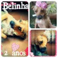 belinha
