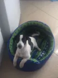 Bingo
