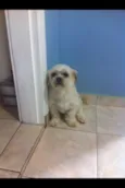 Jay