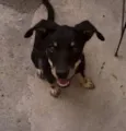 Nina