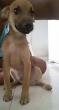 Tobias