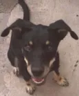 Nina