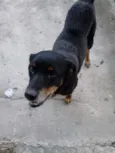 Kiara