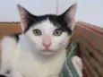 Binch