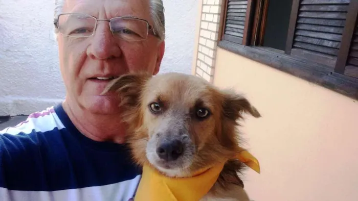 Cachorro raça srd idade 1 ano nome Dunguinha