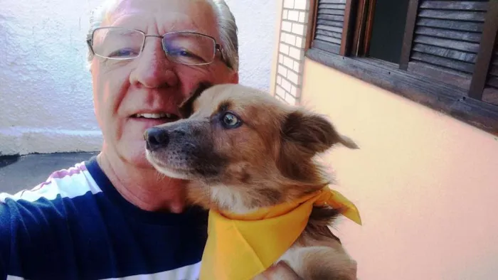 Cachorro raça srd idade 1 ano nome Dunguinha