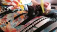 Sr. Gato