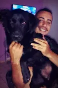 Dengo