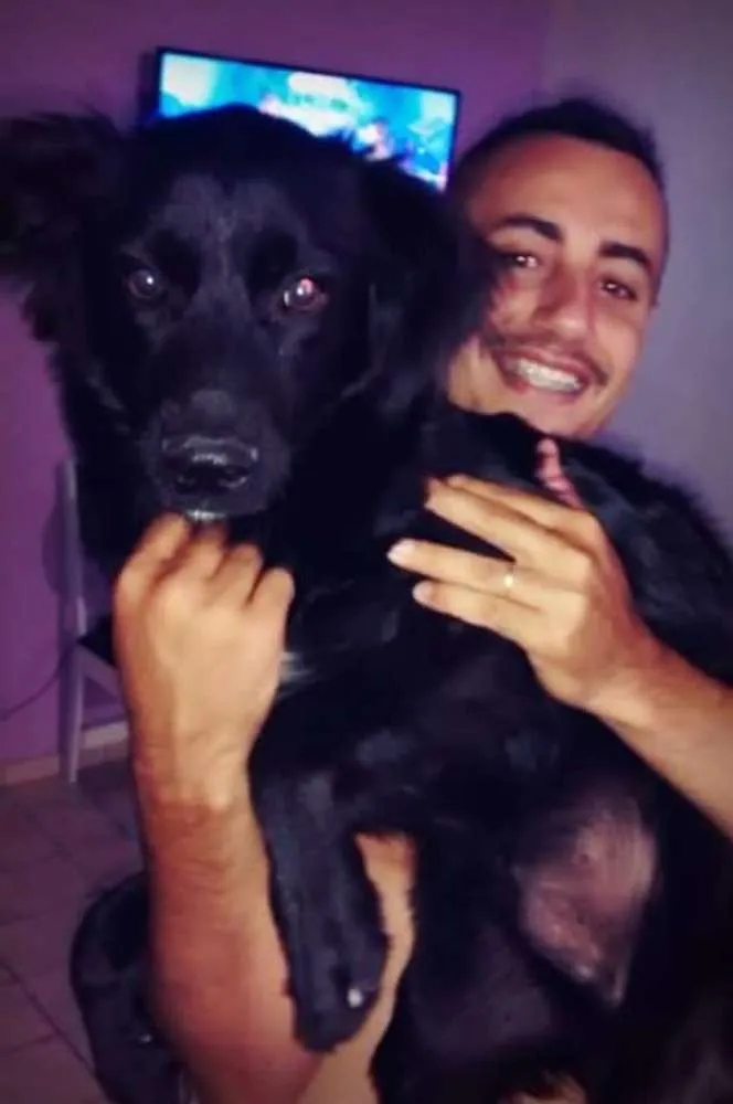 Cachorro ra a Sem raca definida  idade 1 ano nome Dengo