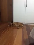 Princesa das Trilha