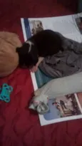 Pretinho