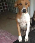 Bob