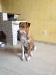 Bob