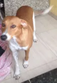 Bob