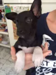 Kiko