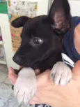 Kiko