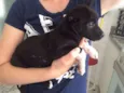 Kiko
