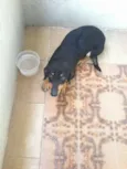 não identificado