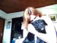 Mellany